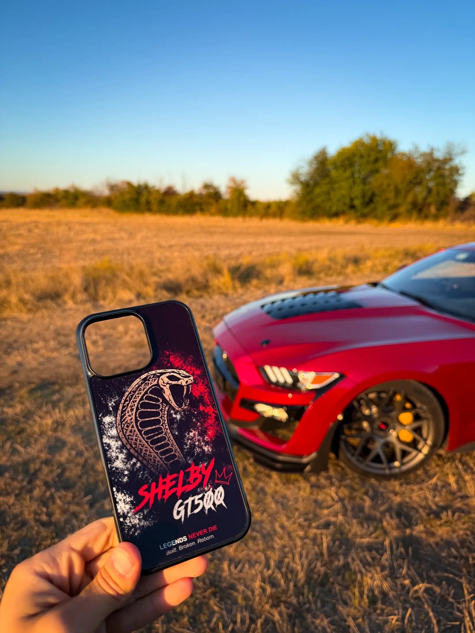 Мърч Dani Subev с Ford Mustang Shelby GT500